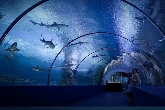 Things You Need to Know Before Visiting Antalya Aquarium: An Easy Visit Guide with Car Rental
